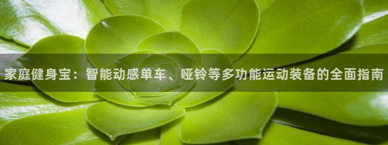 征途国际招商电话号码是多少号：家庭健身宝：智能动感单