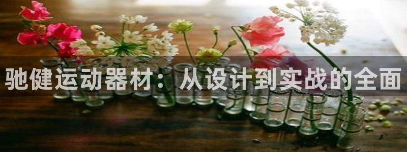 征途国际招商电话号码查询：驰健运动器材：从设计到实战