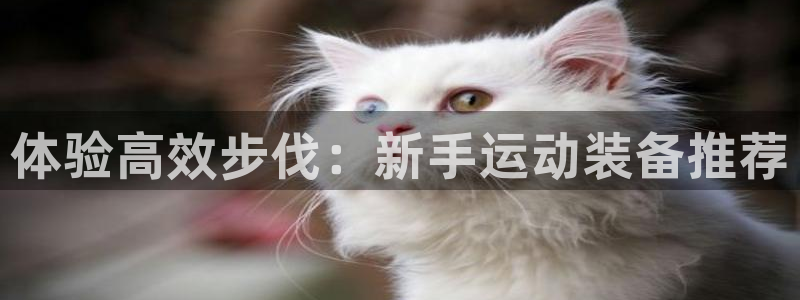 海南征途国际发展怎么样：体验高效步伐：新手运动装备推荐