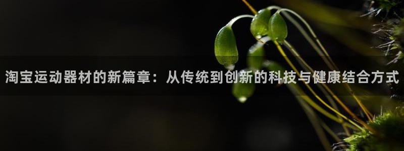 征途国际娱乐是那个系列的台子：淘宝运动器材的新篇章：从传统到