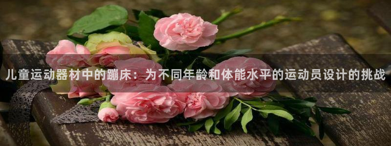 征途国际平台注册流程图：儿童运动器材中的蹦床：为不同年龄和体