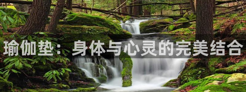 征途国际娱乐：瑜伽垫：身体与心灵的完美结合