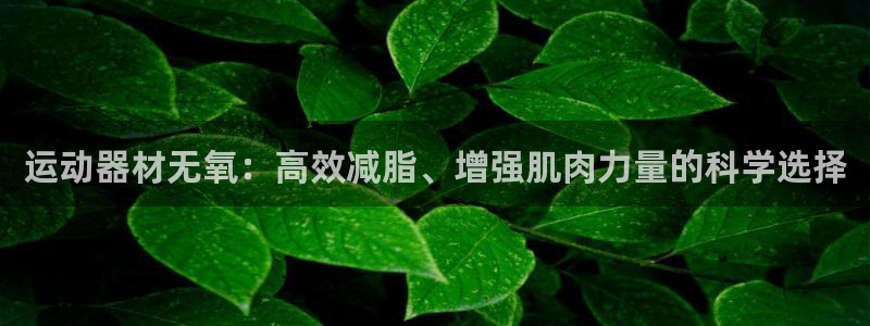 征途国际娱乐网站：运动器材无氧：高效减脂、增强肌肉力量的科学