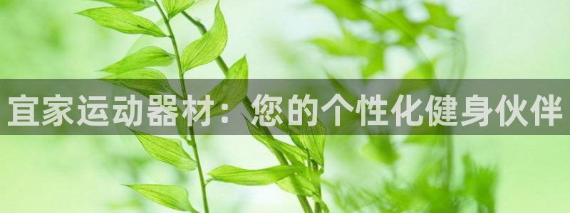 征途国际平台体育：宜家运动器材：您的个性化健身伙伴