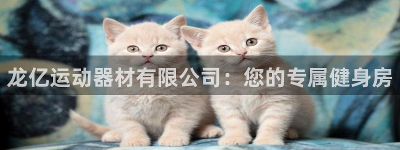 征途国际平台是正规平台吗：龙亿运动器材有限公司：您的