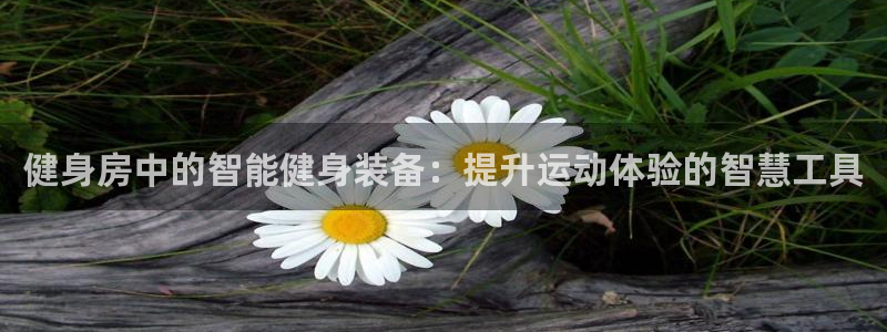 征途国际新能源：健身房中的智能健身装备：提升运动体验的智慧工