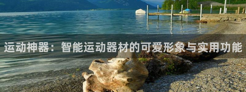 征途国际招商电话号码是多少啊：运动神器：智能运动器材
