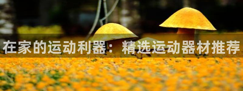征途国际娱乐是那个系列的台子：在家的运动利器：精选运