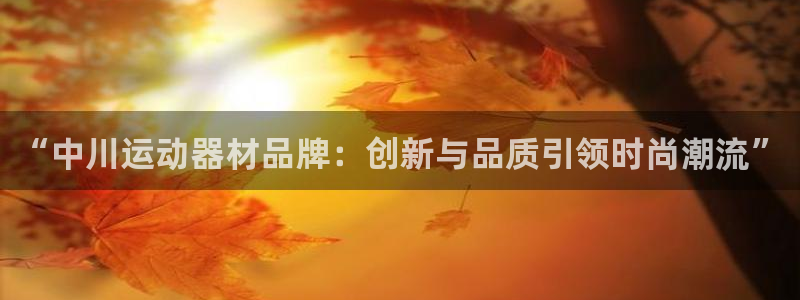 征途国际开户：“中川运动器材品牌：创新与品质引领时尚潮流”