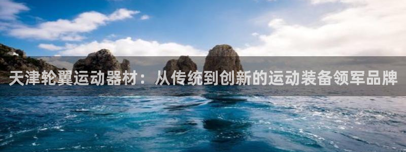 征途国际集团官网