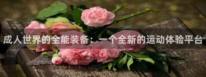 征途国际五金厂：成人世界的全能装备：一个全新的运动体验平台