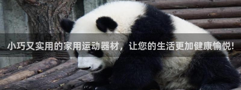 征途国际平台注册：小巧又实用的家用运动器材，让您的生活更加健