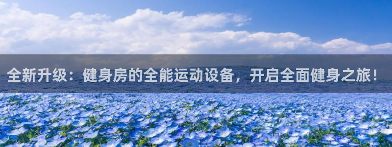 征途国际：全新升级：健身房的全能运动设备，开启全面健身之旅！