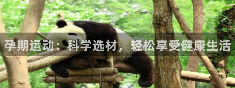 征途国际集团简介：孕期运动：科学选材，轻松享受健康生