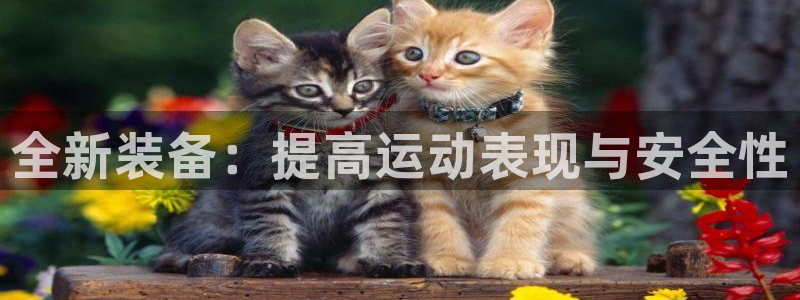 征途国际官网：全新装备：提高运动表现与安全性