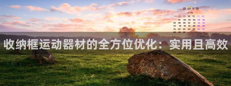 征途国际招商：收纳框运动器材的全方位优化：实用且高效