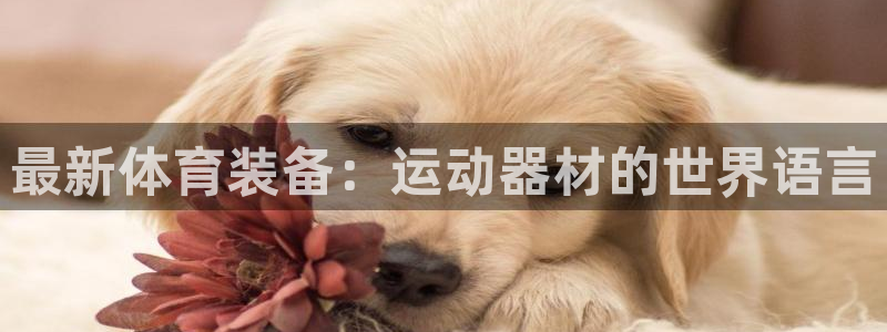 征途国际是干嘛的公司：最新体育装备：运动器材的世界语言